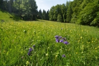 Zeltlager 2019